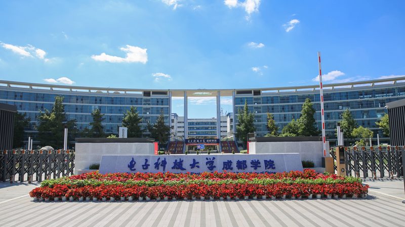 数码相机参数解析：优缺点对比与选购要点