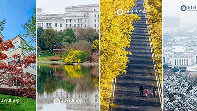 电阻封装尺寸规格：揭秘电子元器件的“身材”秘密